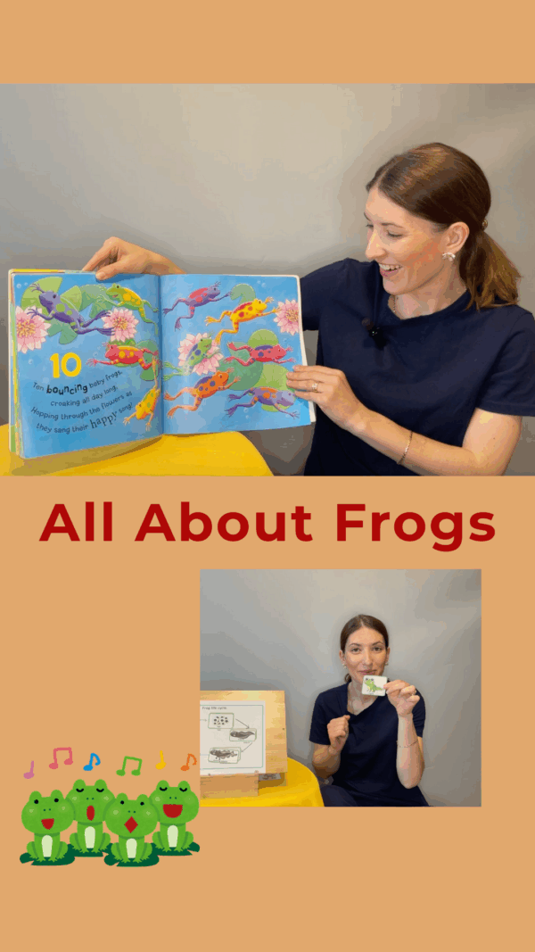 Fiona the Little Frog